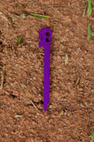 Endeavor Stake Mix and Match Tent Stakes